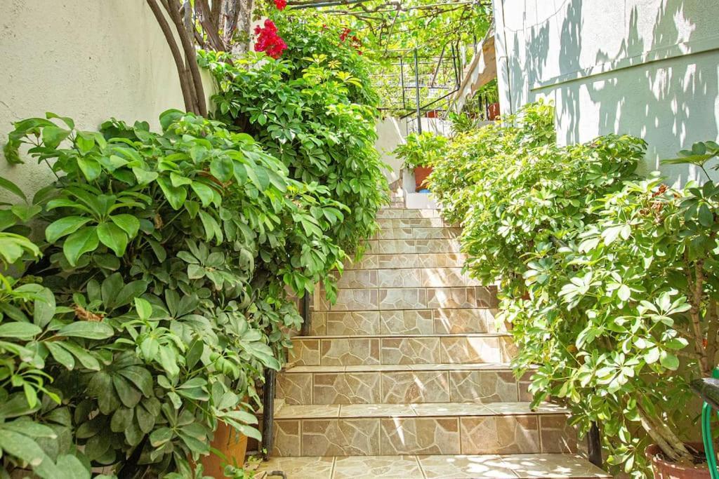 Blue Maraci 2 - Sea View, Kitchen, Beach Access Apartment Himare Exterior photo