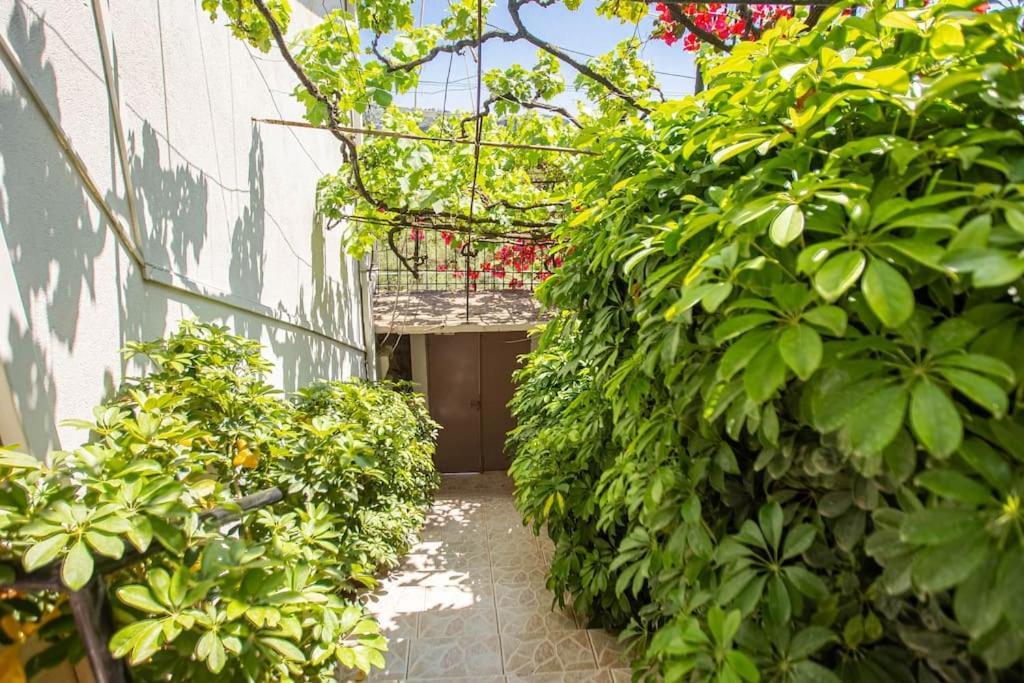 Blue Maraci 2 - Sea View, Kitchen, Beach Access Apartment Himare Exterior photo