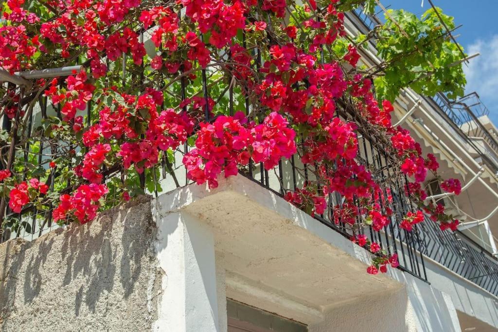 Blue Maraci 2 - Sea View, Kitchen, Beach Access Apartment Himare Exterior photo